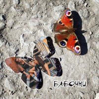 Скачать песню Nass & Evans - Бабочки