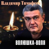 Скачать песню Владимир Тимофеев - Возвращение