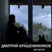 Скачать песню Дмитрий Крашенинников - Стая