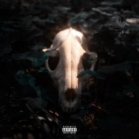 Скачать песню SENS1TY - МНЕ ВСЁ РАВНО