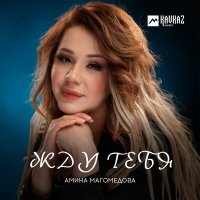 Скачать песню Амина Магомедова - Жду тебя