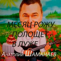 Скачать песню Анатолий Шаманаев - Вьюга