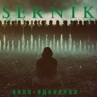 Скачать песню SerNik - Волк-одиночка