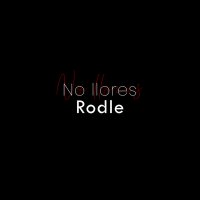 Скачать песню Rodle - No llores