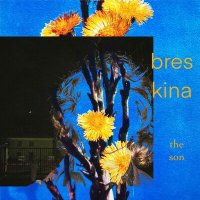 Скачать песню breskina - the son