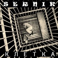 Скачать песню SerNik - Клетка