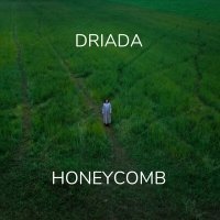 Скачать песню DRIADA - Honeycomb