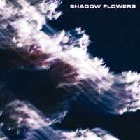 Скачать песню c152 - Shadow Flowers