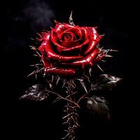 Скачать песню White P - Только жизнь меня учила