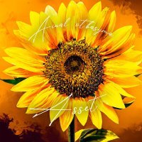 Скачать песню ASSET - Ainal Otbasyma