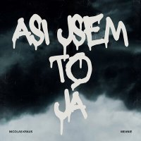 Скачать песню Nicolas Kraus, Meanie - Asi Jsem to Já