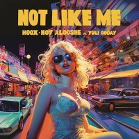 Скачать песню Hoox, Noy Alooshe, Yuli Goday - Not Like Me