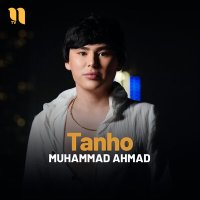 Скачать песню Muhammad Ahmad - Tanho