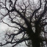 Скачать песню dgeromse - Мировоззрение
