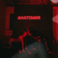 Скачать песню FreeRiders - Анатомия (Acoustic Version)