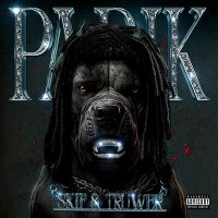 Скачать песню Skif, Truwer - Parik