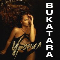 Скачать песню Bukatara - Уронил