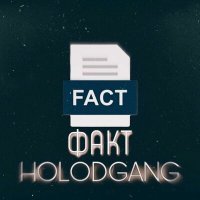 Скачать песню HOLODGANG - Факт