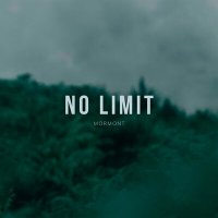 Скачать песню Mormont - No Limit