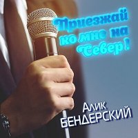 Скачать песню Алик Бендерский - Приезжай ко мне на север!