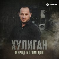 Скачать песню Мурад Магомедов - Хулиган