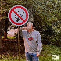 Скачать песню Livesey - Smoking Allowed