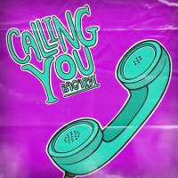 Скачать песню BAGARDI - Calling You