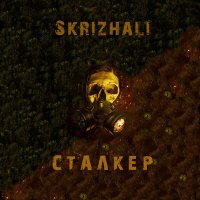 Скачать песню Skrizhali - Stalker (Акустика)