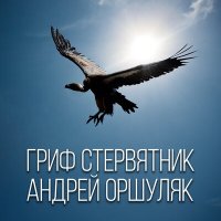 Скачать песню Андрей Оршуляк - Почему так