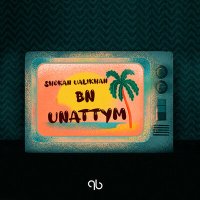 Скачать песню Shokan Ualikhan - Unattym (Bn)