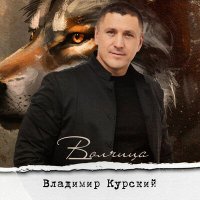 Скачать песню Владимир Курский - Чужая