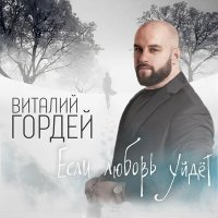 Скачать песню Виталий Гордей - Если любовь уйдет