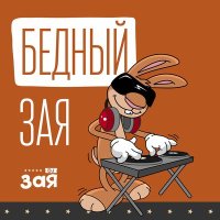 Скачать песню DJ Зая - Бедный Зая