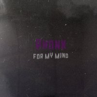 Скачать песню Telmard - Phonk for my mind