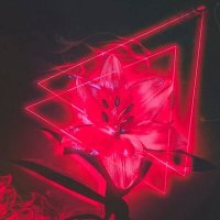 Скачать песню n1ws - attraction