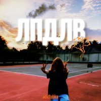 Скачать песню Acidlubka - На Канонерском