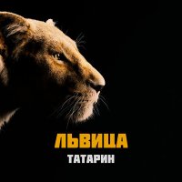 Скачать песню ТАТАРИН - Львица