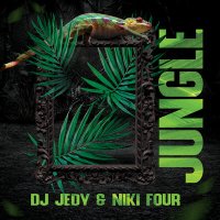 Скачать песню DJ JEDY, Niki Four - Jungle