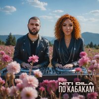 Скачать песню NITI DILA - По кабакам