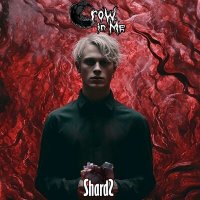 Скачать песню Crow In Me - Shards