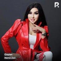 Скачать песню Nensi Zair - Ceylan