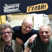 Скачать песню Оркестр домовых - Гуляй!