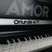 Скачать песню AMOR - Oriunde ai fi