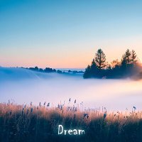 Скачать песню Hxrnxt, paindur - Dream