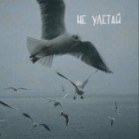 Скачать песню ненуничесебе - не улетай