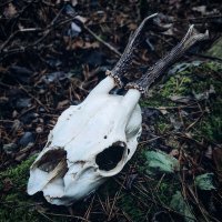 Скачать песню Whiskey Bar - Нокаут