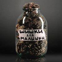 Скачать песню Тестостерович - Дама из Амстердама