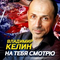 Скачать песню Владимир Келин - На тебя смотрю