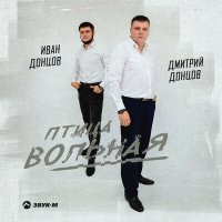 Скачать песню Иван Донцов, Дмитрий Донцов - Птица вольная