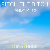 Скачать песню Andy Pitch - Pitch The Bitch